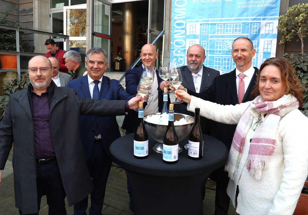 La UPCT demuestra que las viñas sombreadas por paneles solares producen vino de la misma calidad