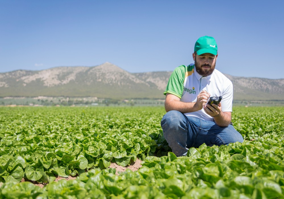 Peregrín destaca los beneficios de la certificación GLOBALG.A.P. y la etiqueta GGN