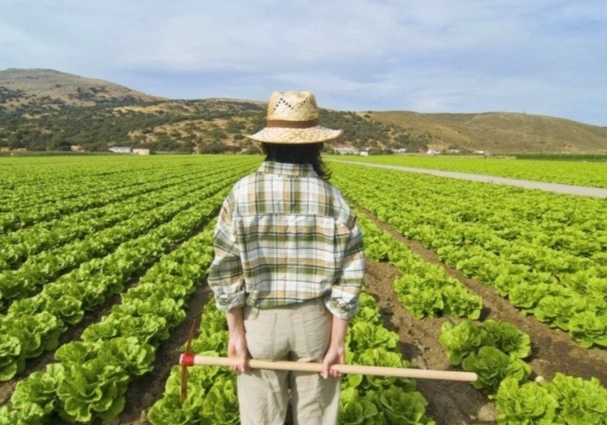 La Comunidad abona 4,8 millones de euros a más de 200 jóvenes agricultores de la Región de Murcia