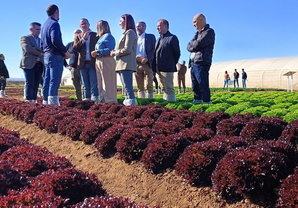 La investigación agraria en el Imida permite registrar 29 nuevas variedades de frutas en los últimos diez años