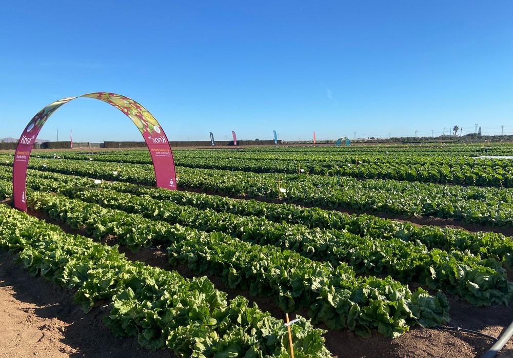 Winter Open Field Days 2025: Innovación para superar los desafíos en la agroindustria