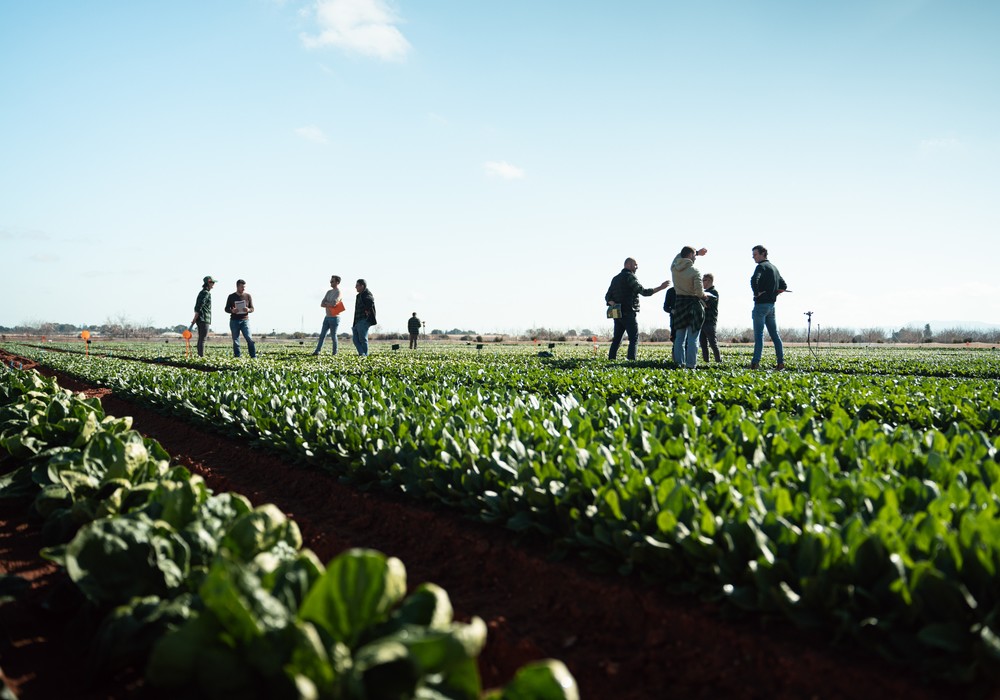 Tozer presenta 150 variedades vegetales en sus Open Days de Murcia