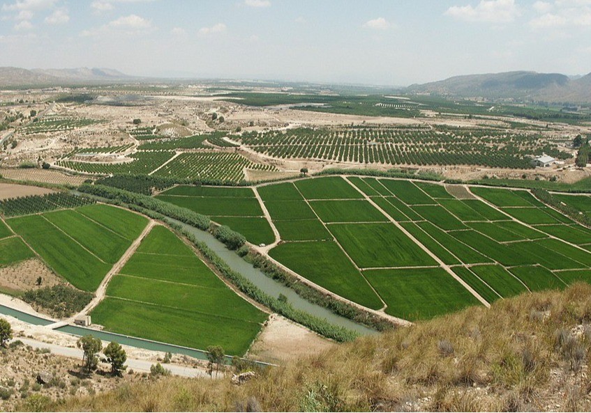 El Ministerio de Agricultura, Pesca y Alimentación invierte más 76 millones de euros en la modernización de 17.642 hectáreas de regadíos en Murcia