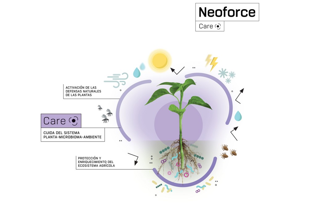 Neoforce® Prime de Fertiberia TECH mejora la protección de los cultivos hortícolas