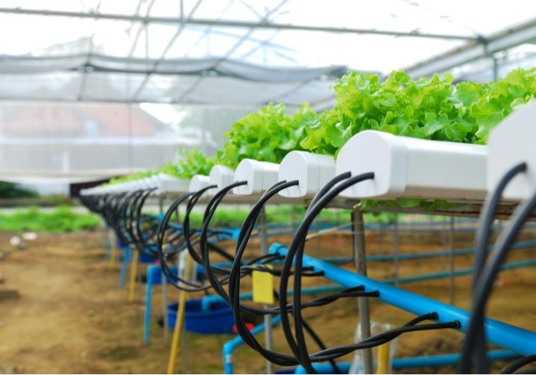 Las organizaciones de productores prevén invertir 782 millones en programas operativos para mejorar explotaciones