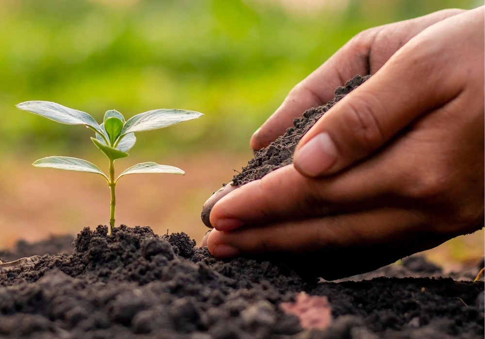 La agricultura europea prevé avances esta semana en materia de NTG