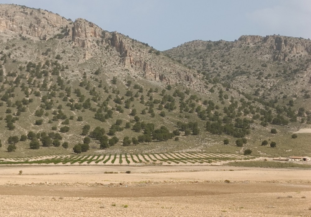 Las ayudas para explotaciones agrícolas en zonas de montaña y en zonas con limitaciones naturales alcanzan los 6 millones