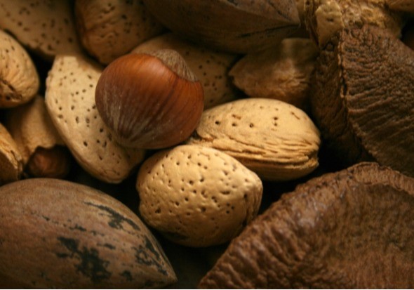 El Gobierno aprueba una ayuda directa por 20 millones de euros a los productores de frutos de cáscara afectados por la sequía en 2024