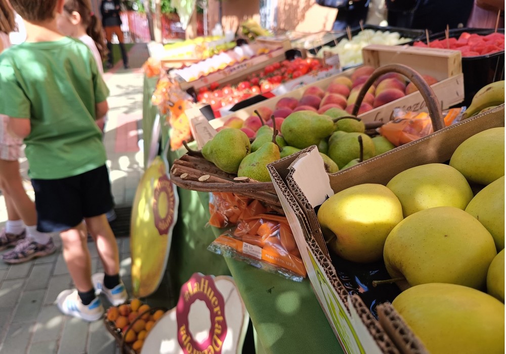 Alumnos de 299 colegios de la Región recibirán el próximo curso raciones de frutas, hortalizas y leche para fomentar la alimentación saludable