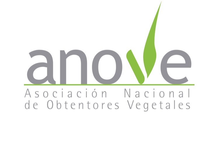 ANOVE lanza una campaña para promover el correcto uso de marcas, variedades y tipos en frutas y hortalizas