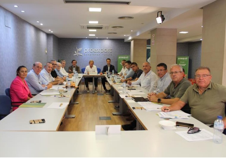 FEPEX participa en la Comisión de Gobierno de Proexport para analizar las prioridades del sector de frutas y hortalizas