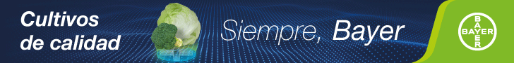 Publicidad