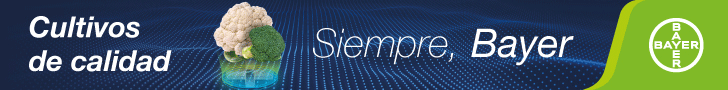 Publicidad