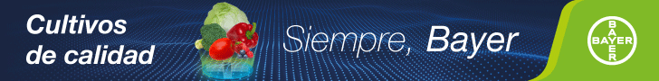 Publicidad