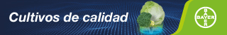 Publicidad