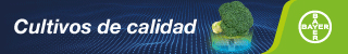Publicidad