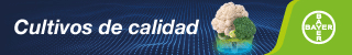 Publicidad
