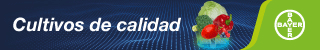 Publicidad